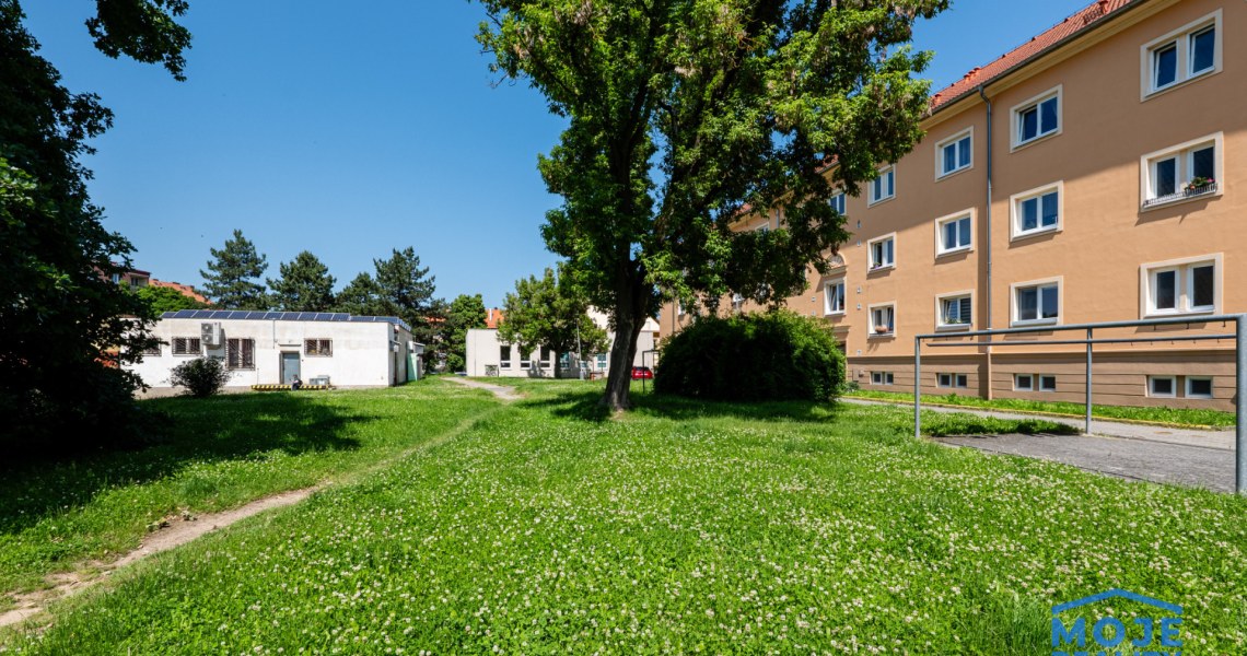 363_2495930979.jpg